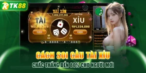 Cách Soi Cầu Tài Xỉu Chắc Thắng Đến 80% Cho Người Mới